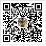 這里是您的網站名稱